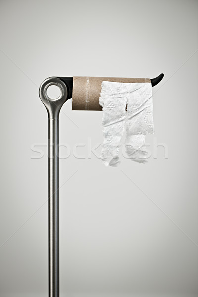 Empty toilet paper roll Stock photo © elenaphoto