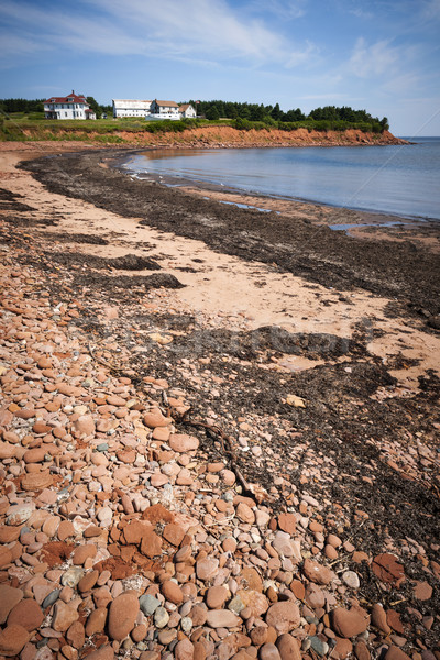Prince Edward Island coastline Stock photo © elenaphoto