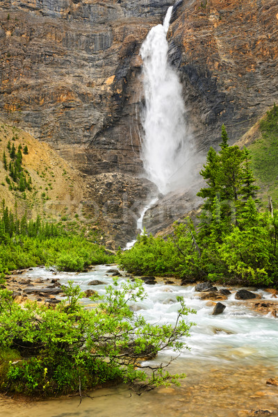 Takakkaw Falls waterfall in Yoho National Park, Canada Stock photo © elenaphoto