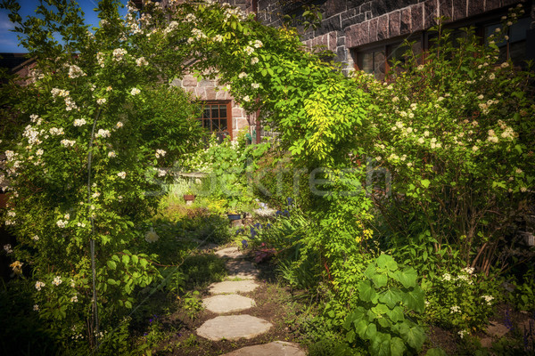 Yaz bahçe yol Bina manzara taş Stok fotoğraf © elenaphoto