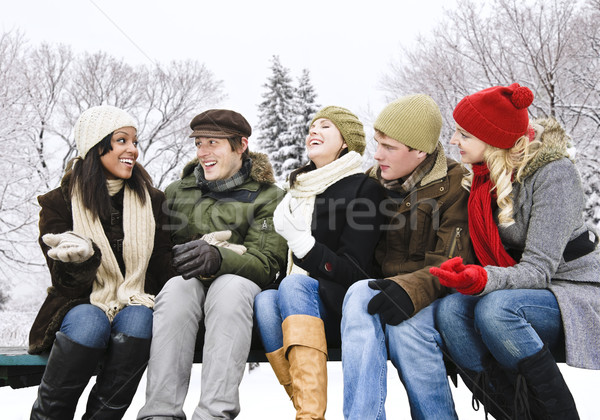 Stock foto: Gruppe · Freunde · außerhalb · Winter · jungen · sprechen