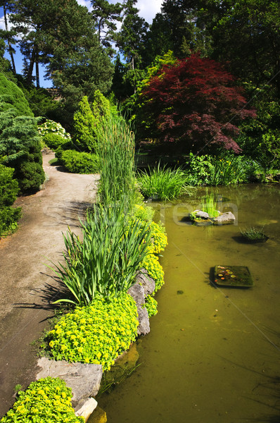 Stockfoto: Tuin · pad · vijver · planten · bloemen · groene