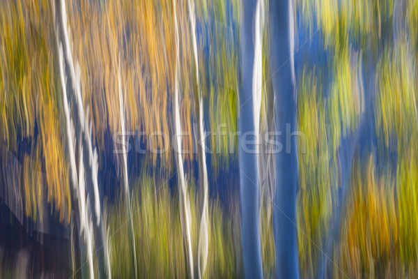 Blu lago shore abstract panorama autunno Foto d'archivio © elenaphoto