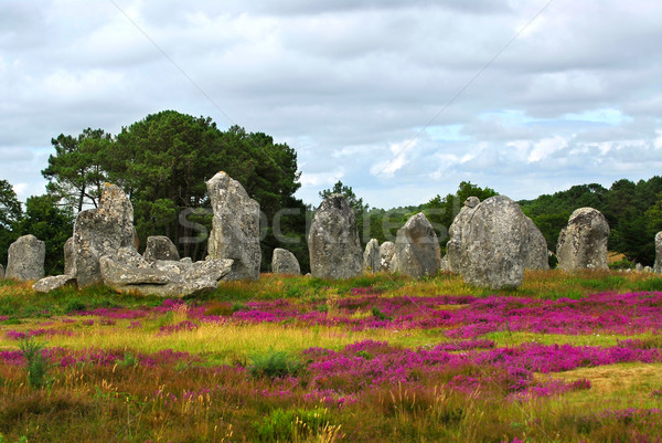 Megalithic monuments in Brittany Stock photo © elenaphoto