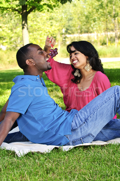 Stock fotó: Boldog · pár · piknik · park · fiatal · romantikus