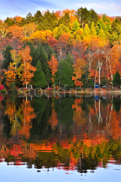 Fall forest reflections Stock photo © elenaphoto