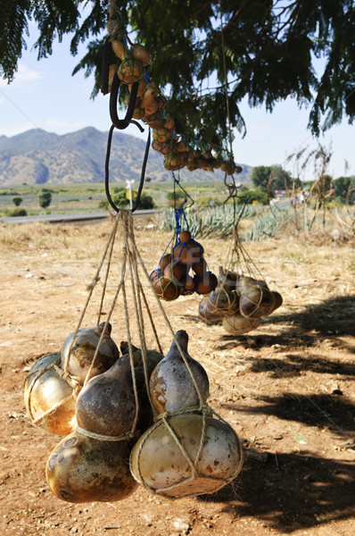 Calabash gourd bottles in Mexico Stock photo © elenaphoto