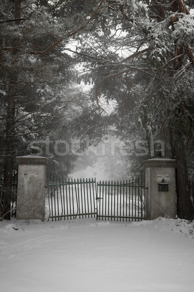 Starych podjazd bramy zimą podziale Zdjęcia stock © elenaphoto