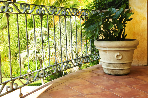 Plant on tiled Mexican veranda Stock photo © elenaphoto