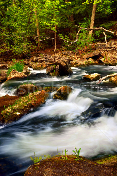 River rapids Stock photo © elenaphoto