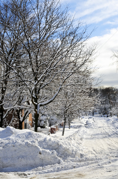 Tél utca hó Toronto ház fa Stock fotó © elenaphoto