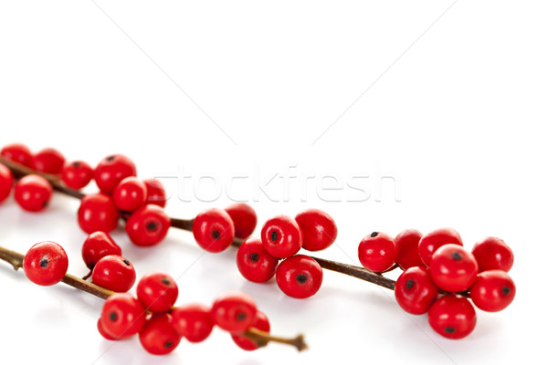 Stockfoto: Rood · christmas · bessen · winter · plant