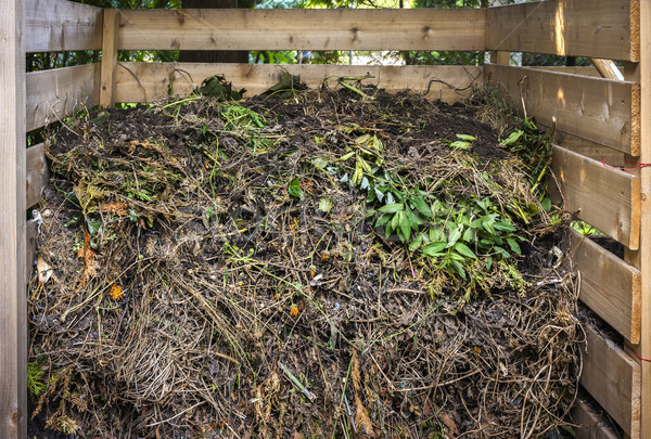 Yard waste in compost bin Stock photo © elenaphoto