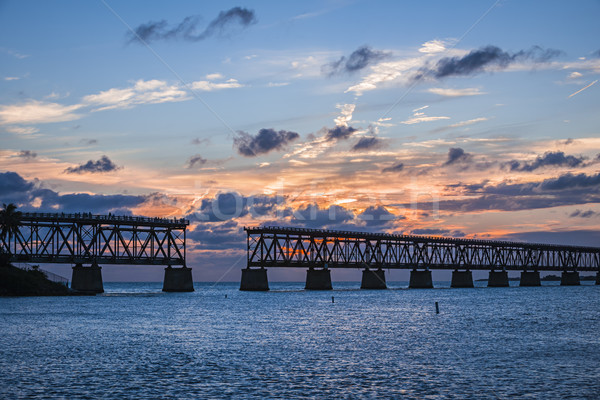Vechi sina pod Florida chei apus Imagine de stoc © elenaphoto