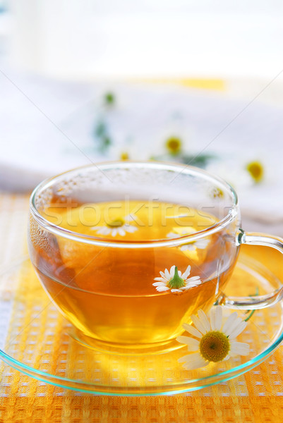 Camomile tea Stock photo © elenaphoto