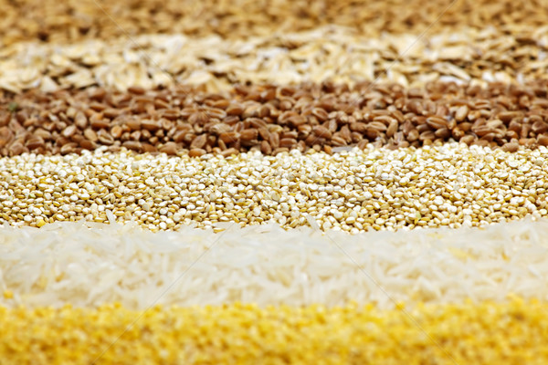 ストックフォト: 穀類 · 異なる · テクスチャ · 背景