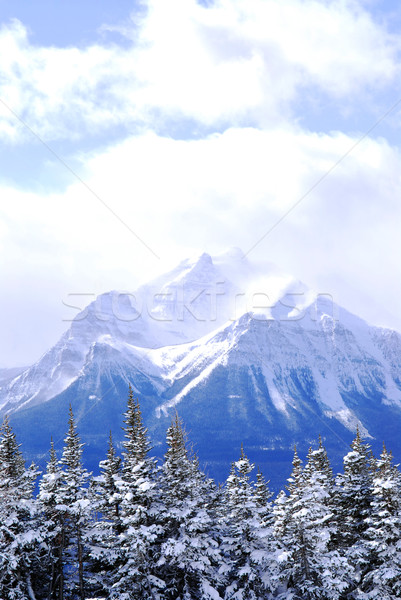 Snowy mountain Stock photo © elenaphoto