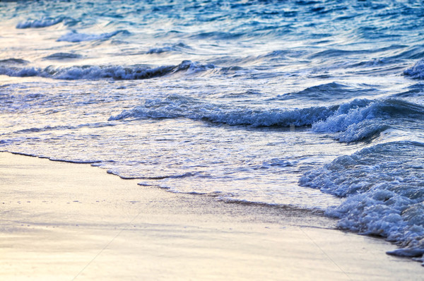 Golven tropische wal caribbean zee strand Stockfoto © elenaphoto