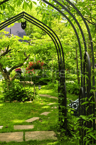 Lush green garden Stock photo © elenaphoto