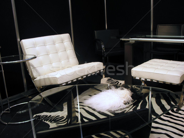 Living room in black and white Stock photo © elenaphoto
