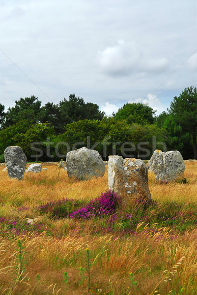 Megalithic monuments in Brittany Stock photo © elenaphoto