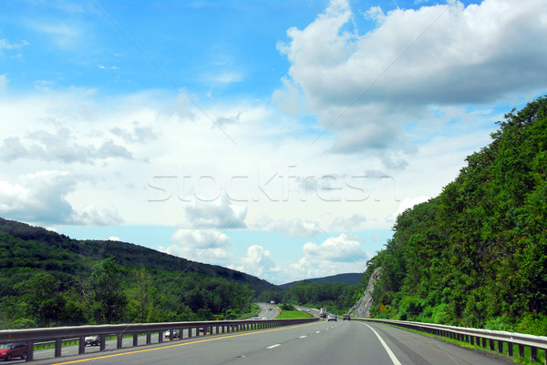 Highway  Stock photo © elenaphoto