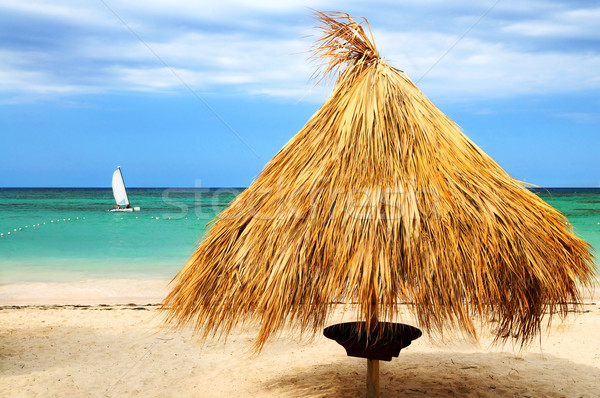 Tropikal plaj caribbean ada palmiye barınak Stok fotoğraf © elenaphoto