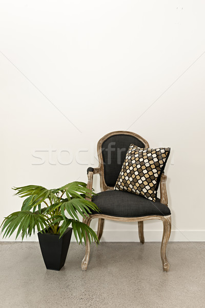 Stock fotó: Antik · fotel · növény · fal · bútor · fehér