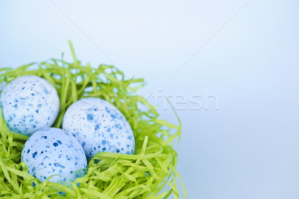 Easter eggs in nest on blue background Stock photo © elenaphoto
