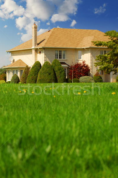 Casa de la familia grande verde césped frente espacio Foto stock © elenaphoto