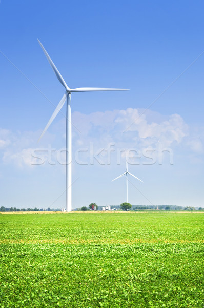 Wind turbine in field Stock photo © elenaphoto