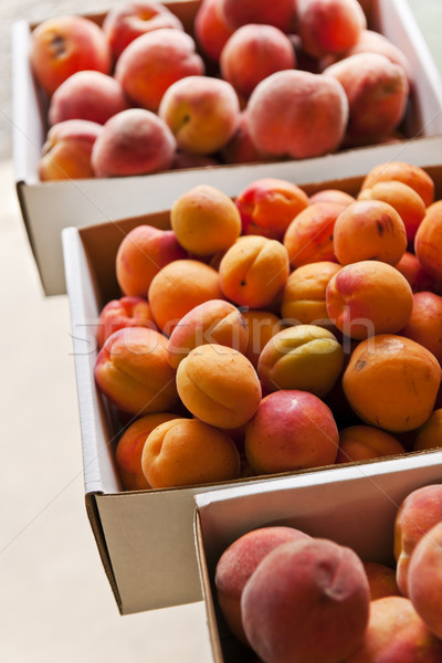 Fruit for sale Stock photo © elenaphoto