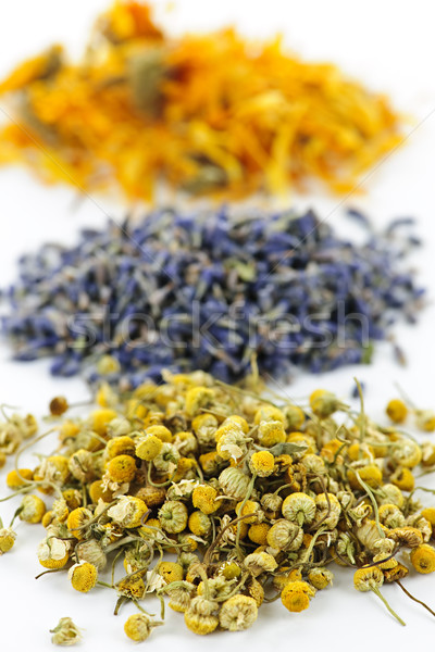 Dried medicinal herbs Stock photo © elenaphoto