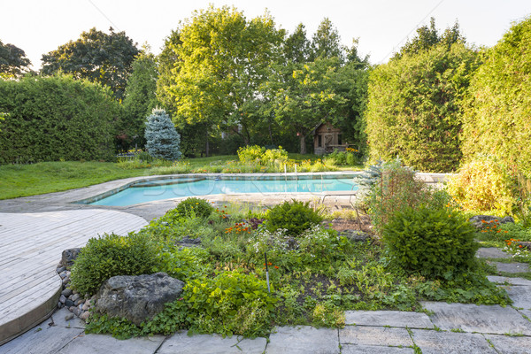 Garden and swimming pool in backyard Stock photo © elenaphoto