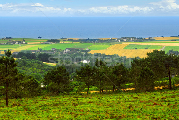 Paysage agricole scénique océan vue rural [[stock_photo]] © elenaphoto