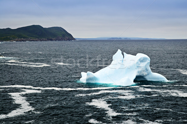 Melting iceberg Stock photo © elenaphoto