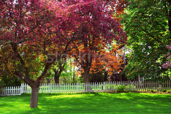 Voorjaar landelijk witte hek Stockfoto © elenaphoto