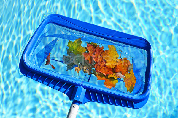 Stockfoto: Bladeren · zwembad · schoonmaken · zwembad · vallen · Blauw