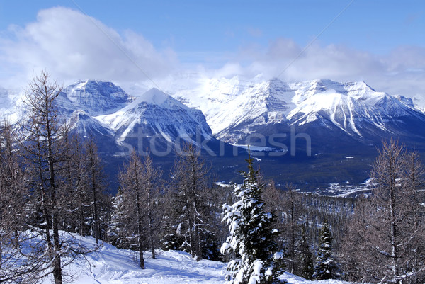 Winter mountains Stock photo © elenaphoto