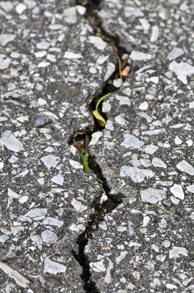 Crăpa asfalt vechi pavaj textură Imagine de stoc © elenaphoto
