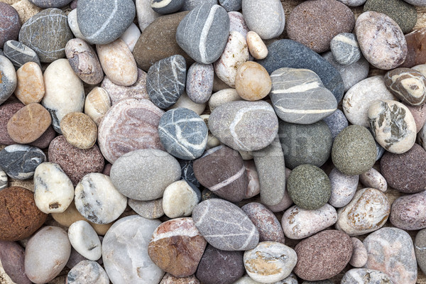 Colorful beach pebbles Stock photo © elenaphoto