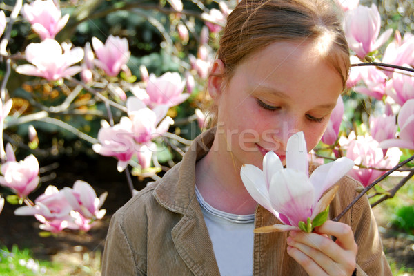 Menina magnólia flores crianças natureza Foto stock © elenaphoto