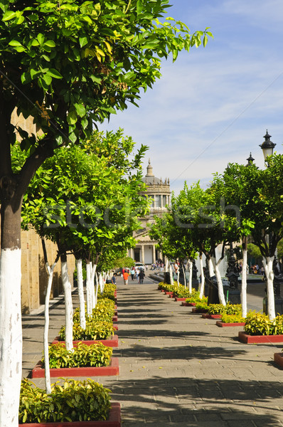 Plaza Tapatia leading to Hospicio Cabanas in Guadalajara, Jalisco, Mexico Stock photo © elenaphoto