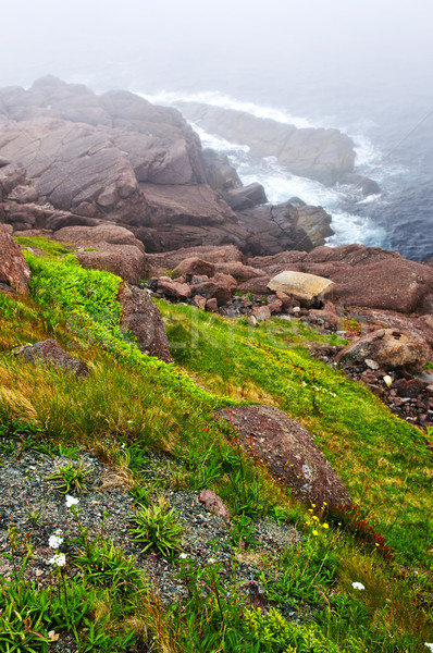 Part Újfundland festői tengerparti kilátás part Stock fotó © elenaphoto