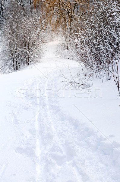 Weg Winter Wald Schneefall Holz Schnee Stock foto © elenaphoto