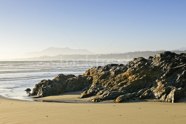 Coast of Pacific ocean, Vancouver Island, Canada Stock photo © elenaphoto