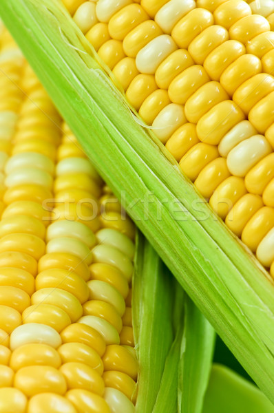 Kukorica közelkép fülek friss nyár zöld Stock fotó © elenaphoto