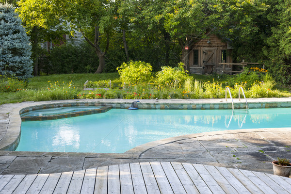 Swimming pool in backyard Stock photo © elenaphoto