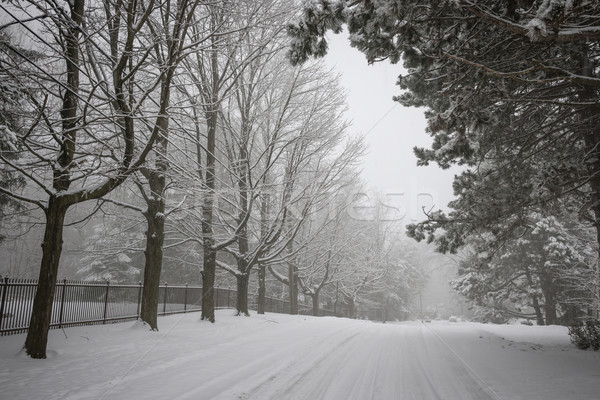 Winter Straße Bäume Zaun rutschig bedeckt Stock foto © elenaphoto