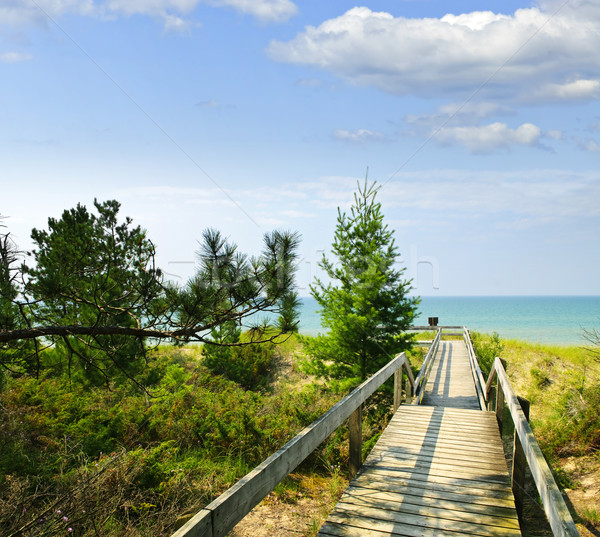 Wooden walkway over dunes at beach Stock photo © elenaphoto